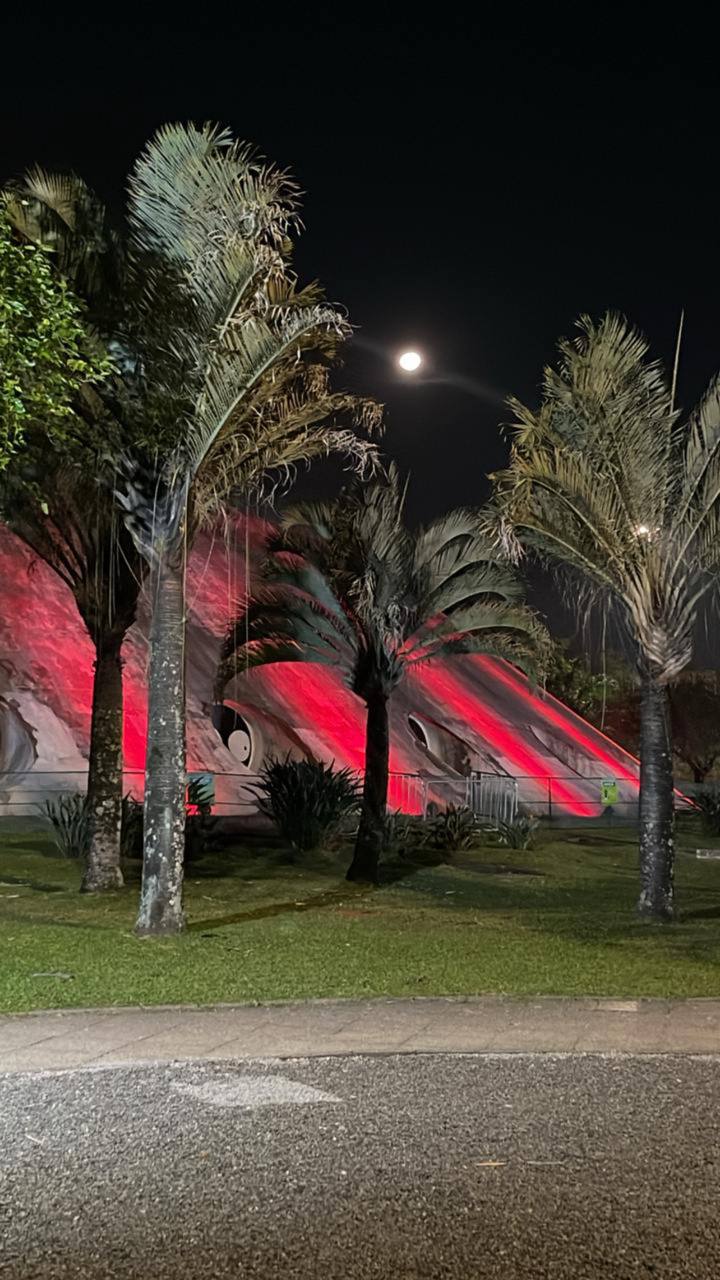 Palmeiras iluminadas em vermelho durante a noite com lua ao fundo